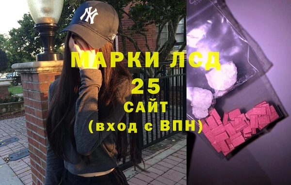 амф Бородино