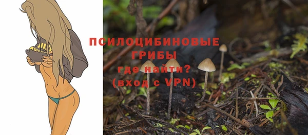 ALPHA PVP Верхнеуральск