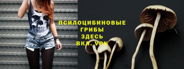 гашик Бронницы