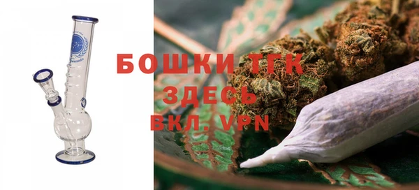 амф Бородино