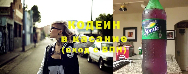 амф Бородино