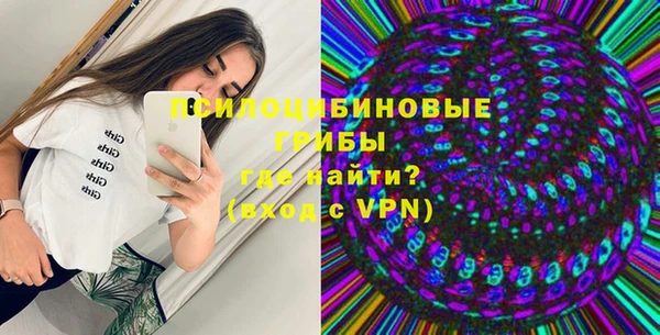 гашик Бронницы