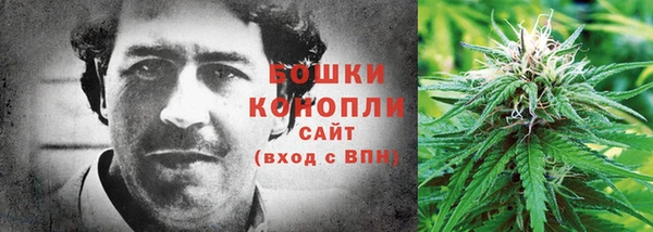 гашик Бронницы
