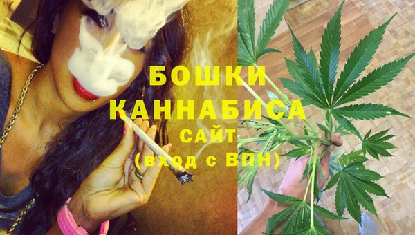 гашик Бронницы