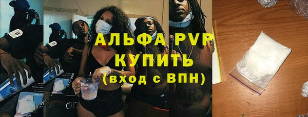хмурый Верея