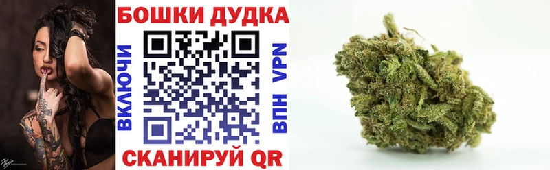 сколько стоит Жигулёвск Шишки марихуана Amnesia